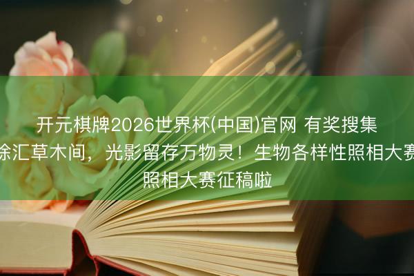 开元棋牌2026世界杯(中国)官网 有奖搜集｜奔赴徐汇草木间，光影留存万物灵！生物各样性照相大赛征稿啦