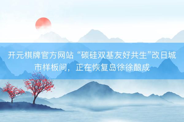 开元棋牌官方网站 “碳硅双基友好共生”改日城市样板间，正在恢复岛徐徐酿成